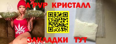 индика Тара