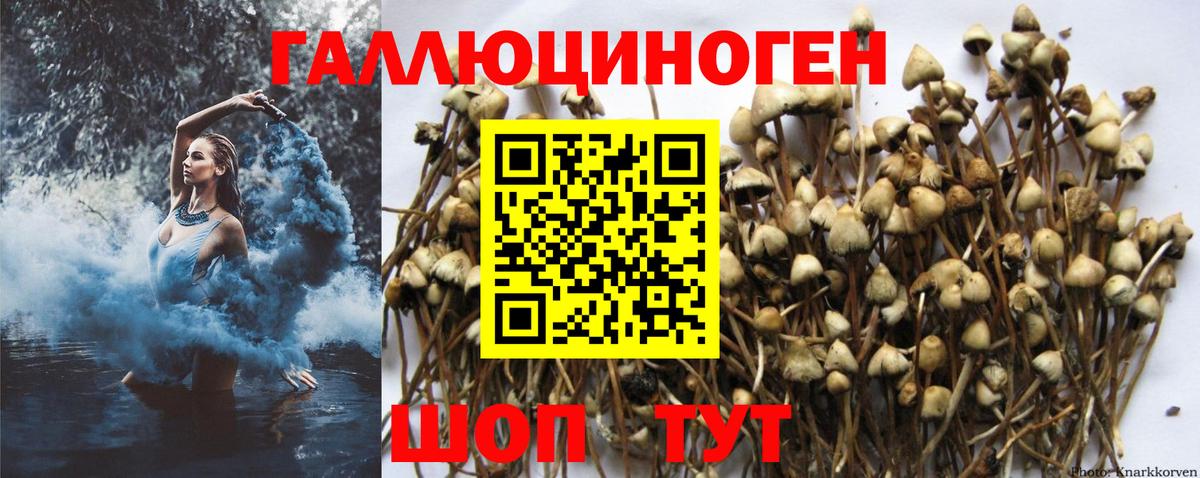 Псилоцибиновые грибы мицелий  Вход с VPN  хочу   Можайск 